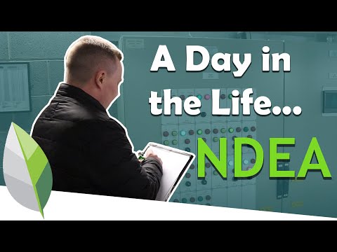 Day in the Life of an NDEA